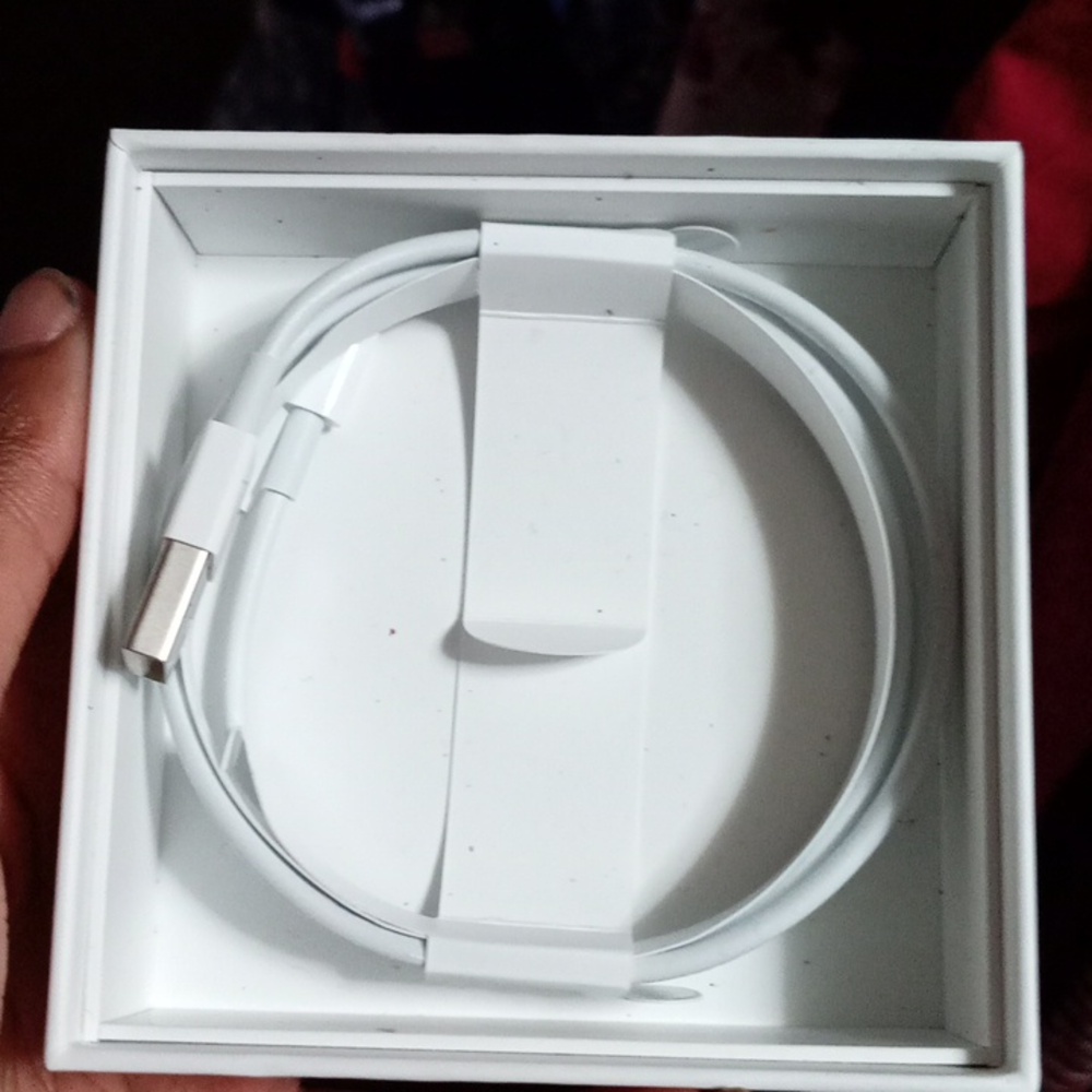 iPhone Lighting charger
